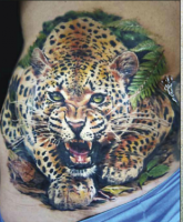 /album/fenykepgaleria/leopard1-png/