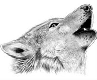 /album/fenykepgaleria/a9c1f78055004e03ae32396b6f7a5d851-jpg/