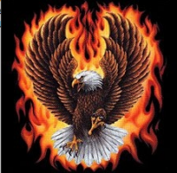 /album/fenykepgaleria/eagle-png/