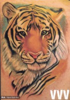 /album/fenykepgaleria/yellow-tiger-face-tattoo-jpg/