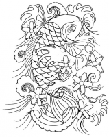 /album/fenykepgaleria/koi12-png/