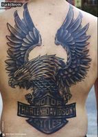 /album/fenykepgaleria/harley-eagle-png/