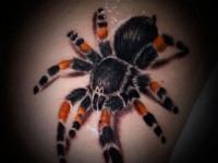 /album/fenykepgaleria/model-tatuaj-tarantula-jpg/
