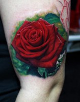 /album/fenykepgaleria/a90b622e20bc8fcd434977a4f02674053-jpg/