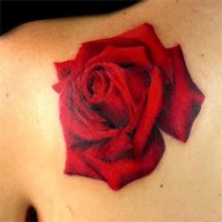 /album/fenykepgaleria/big-red-rose-tattoo-on-back-jpg/